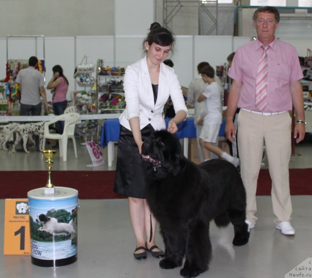 Фотография № 69743