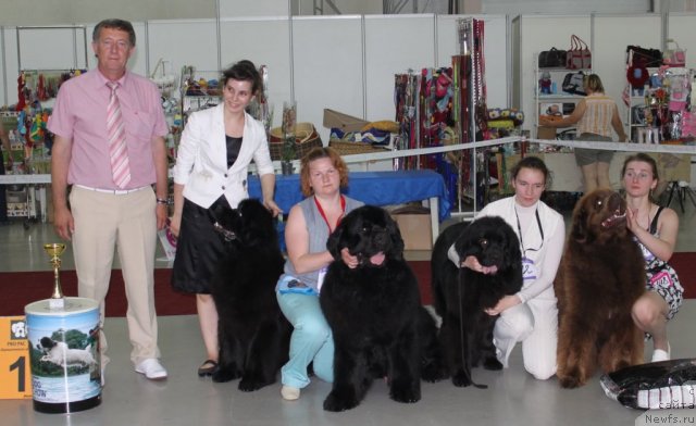 Фотография № 69744