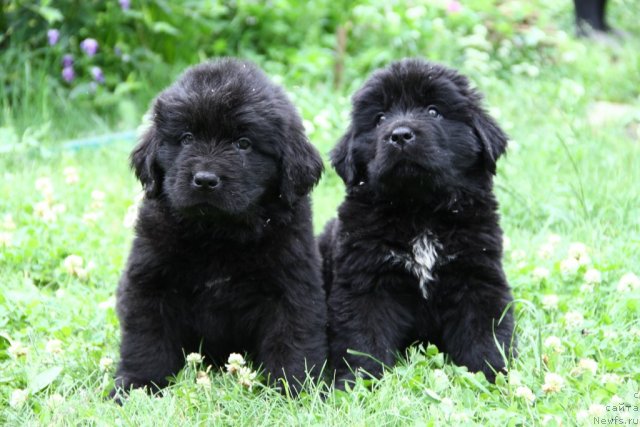 Фотография № 69754