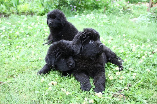 Фотография № 69756