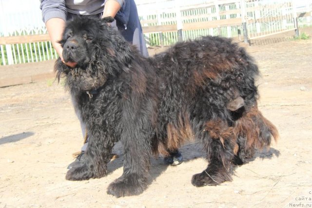 Фотография № 69757