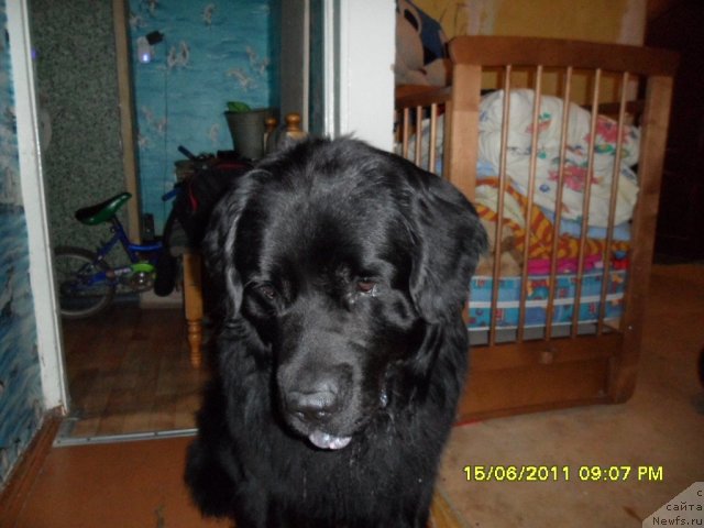 Фото: Ольга Захарова