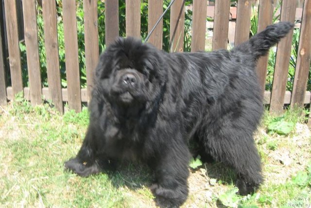 Фотография № 69788