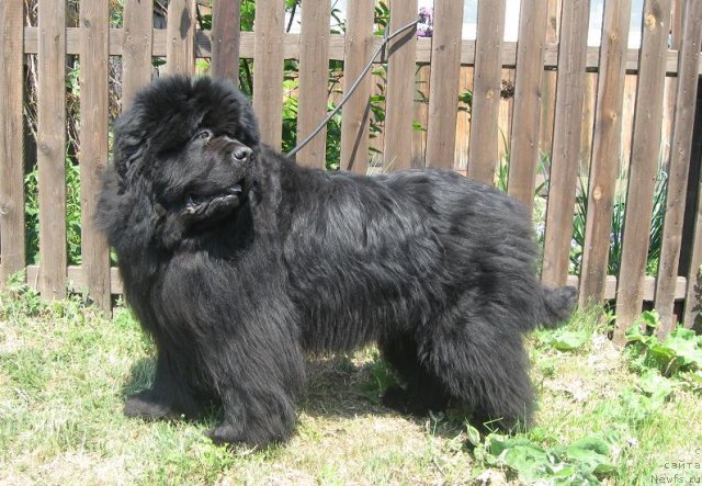 Фотография № 69790