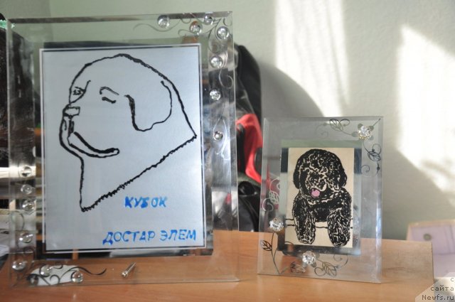 Фотография № 69825