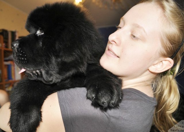 Фотография № 69920