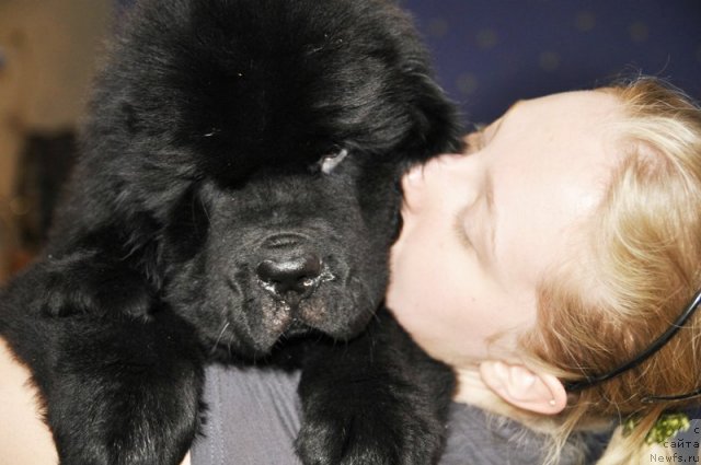 Фотография № 69921