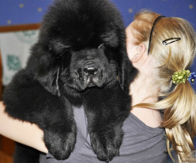 Фотография № 69922