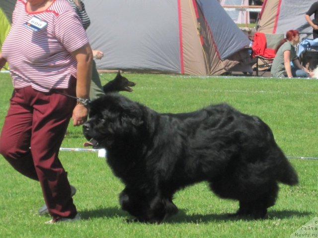 Фотография № 69957