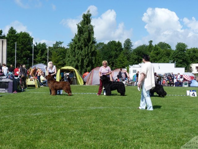 Фотография № 69964