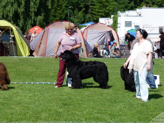 Фотография № 69969