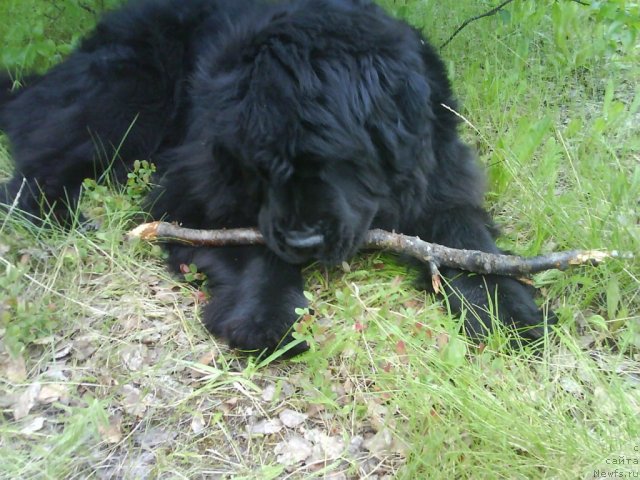 Фотография № 70002