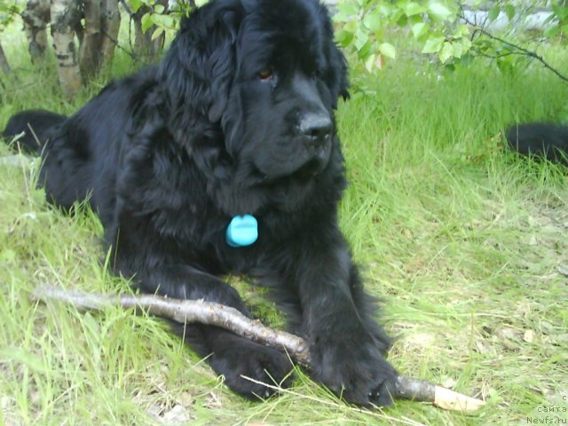 Фотография № 70004