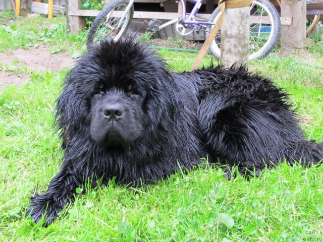 Фотография № 70016