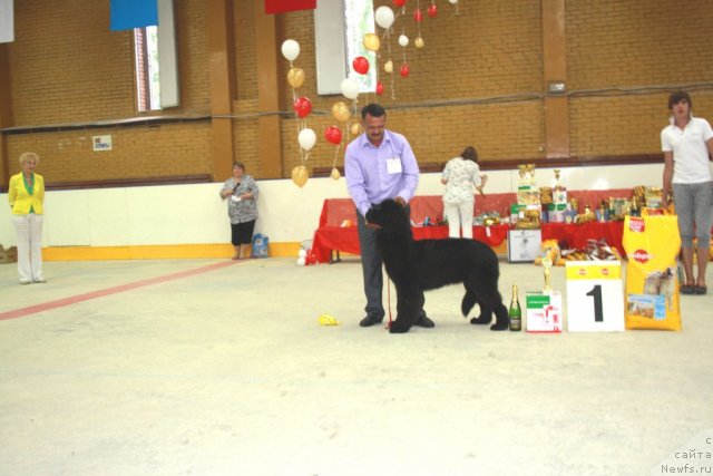 Фотография № 70052