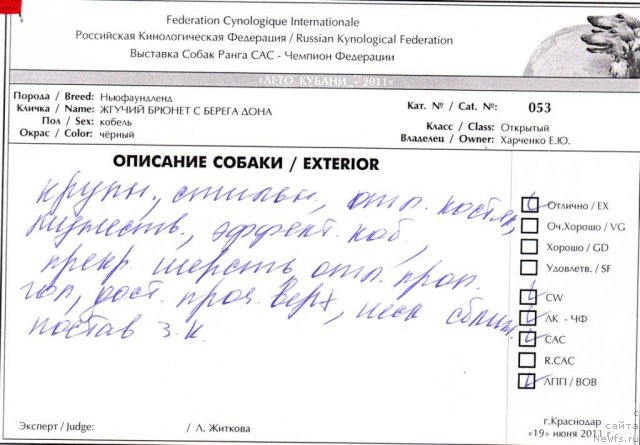 Фотография № 70057