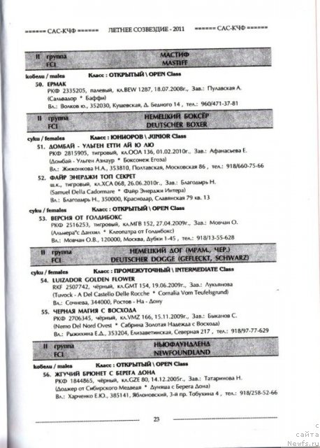 Фото: ньюфаундленд Жгучий Брюнет с Берега Дона