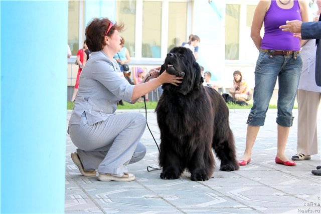 Фотография № 70082