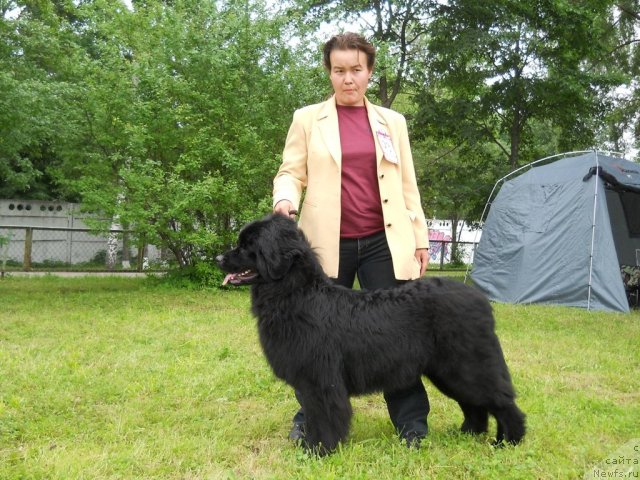 Фотография № 70086