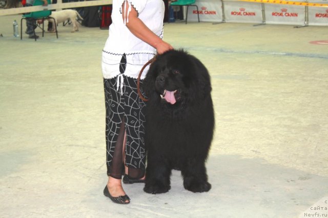 Фотография № 70091