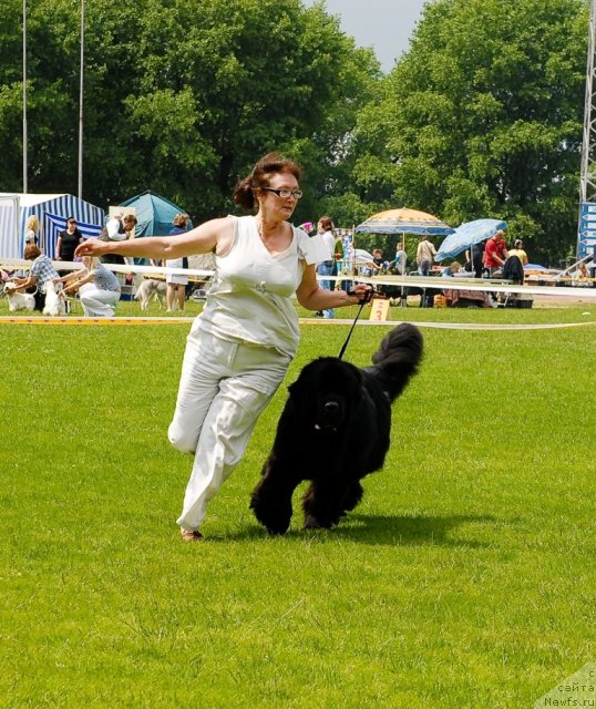 Фотография № 70102