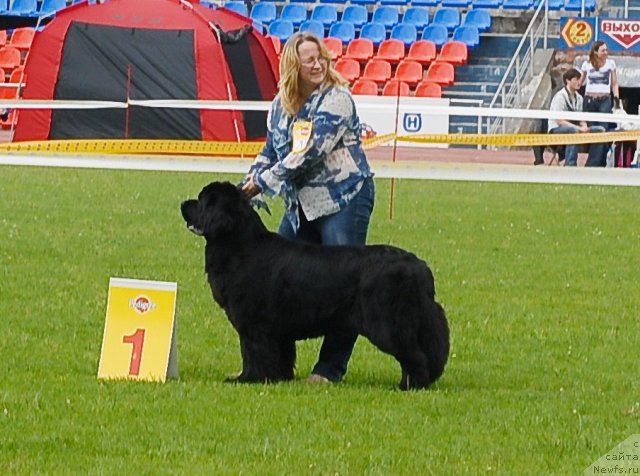 Фотография № 70111