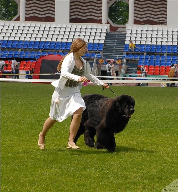 Фотография № 70115