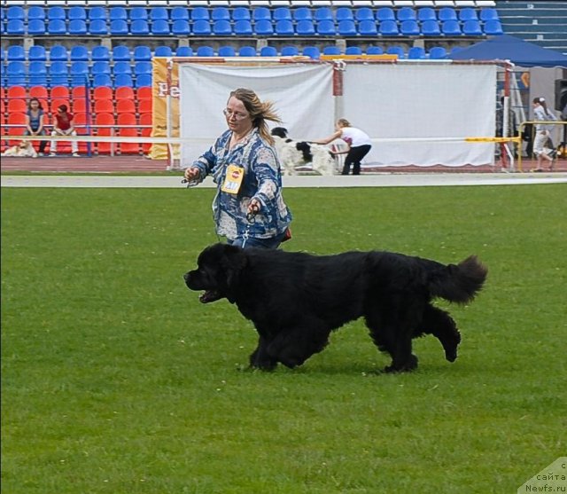 Фотография № 70117