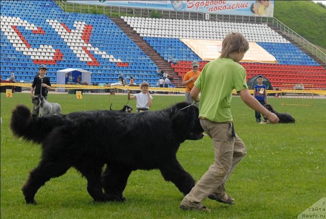 Фотография № 70118