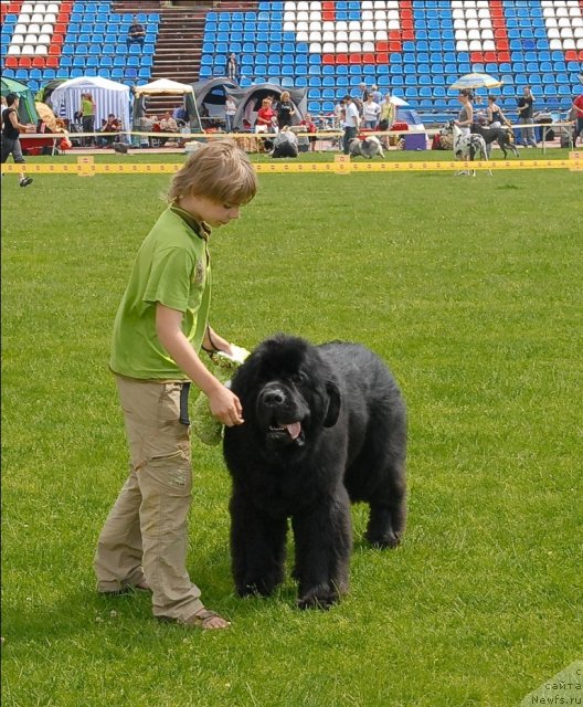 Фотография № 70119