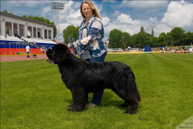 Фотография № 70121