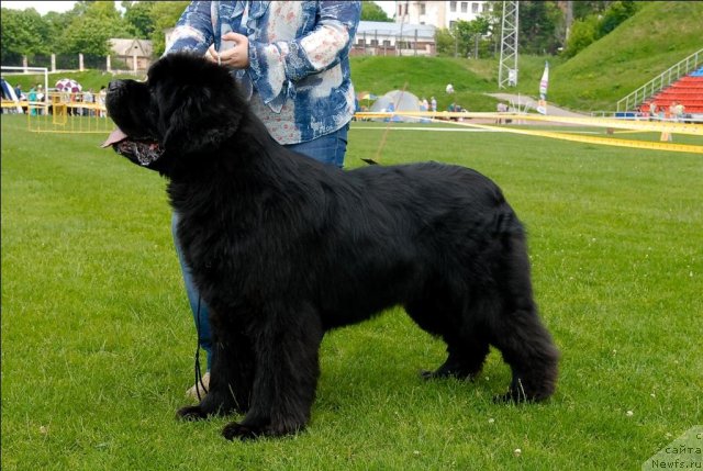 Фотография № 70122