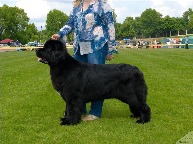 Фотография № 70123