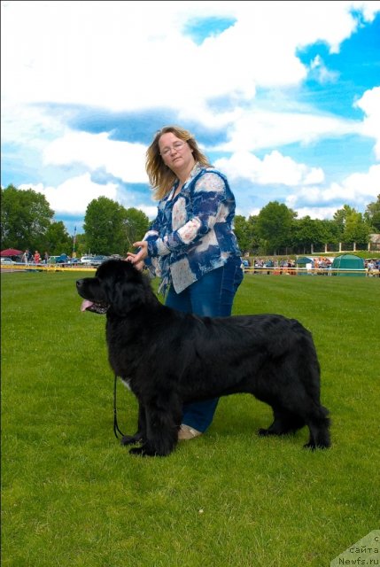 Фотография № 70126