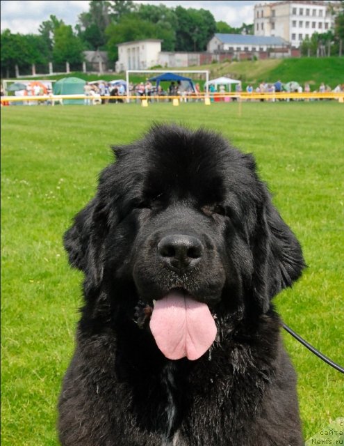 Фотография № 70127