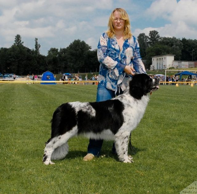 Фотография № 70128