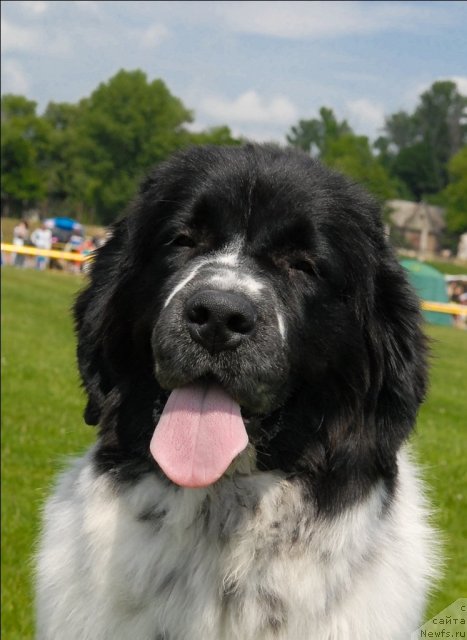 Фотография № 70130