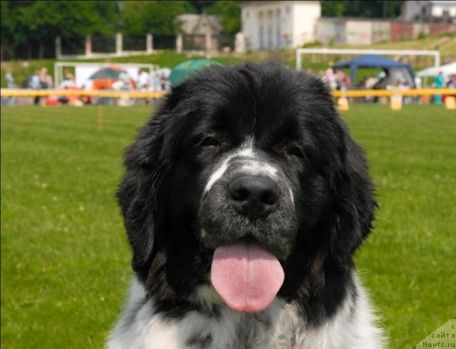 Фотография № 70133