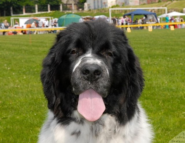 Фотография № 70136