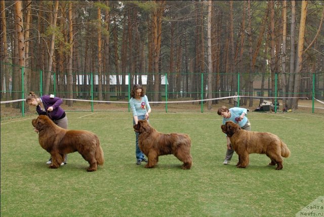 Фотография № 70155