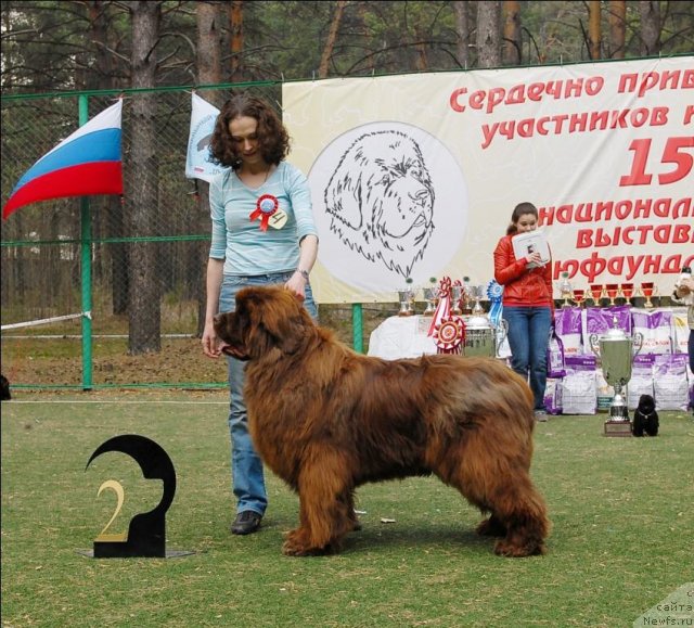 Фотография № 70160