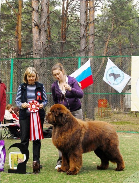 Фотография № 70162