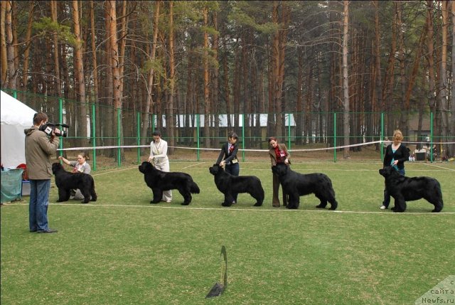 Фотография № 70166