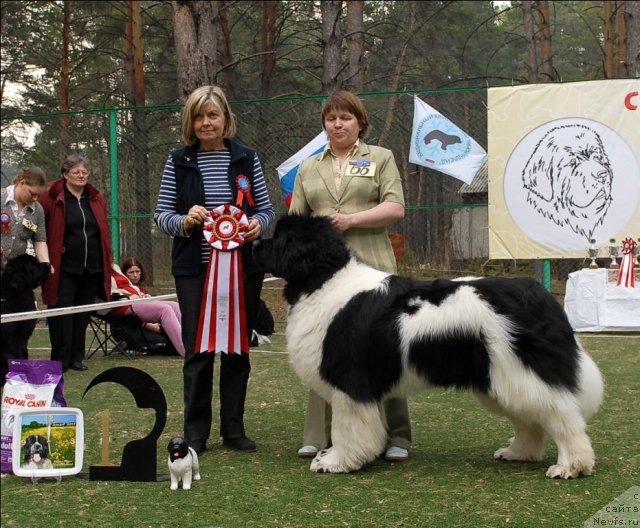 Фотография № 70172