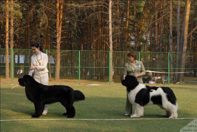 Фотография № 70176