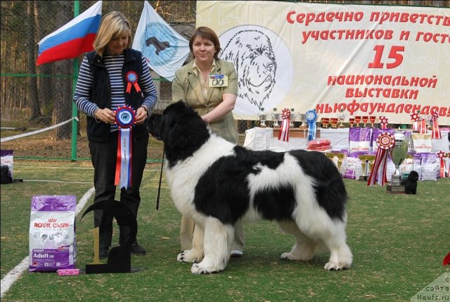 Фотография № 70183