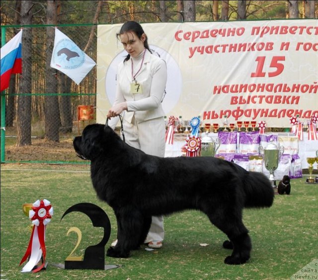 Фотография № 70190