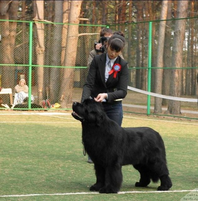 Фотография № 70226