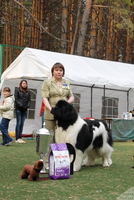 Фотография № 70235