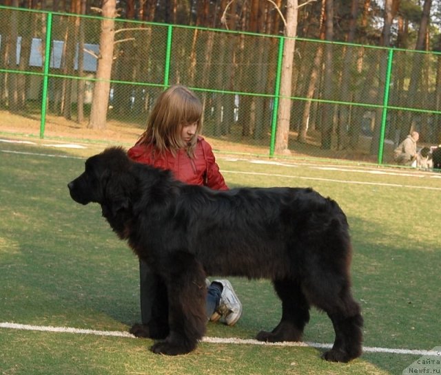 Фотография № 70277